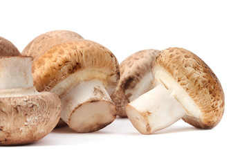 champignon mushroom