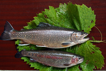 Trouts on the table