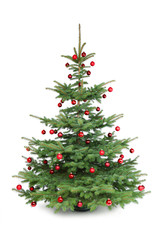 Christbaum