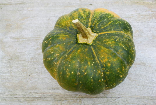 citrouille verte et orange