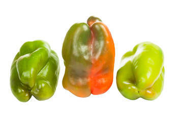 Peppers family