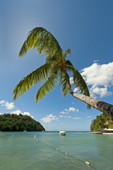Marigot Bay 15205