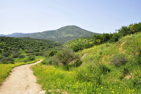 Miron mountain in Upper Galilee, Israel.