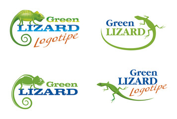 Logos with a lizard and chameleon © master24