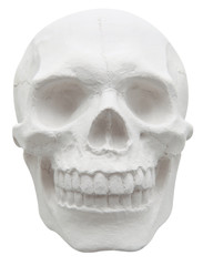 skull
