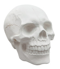 Obraz premium skull