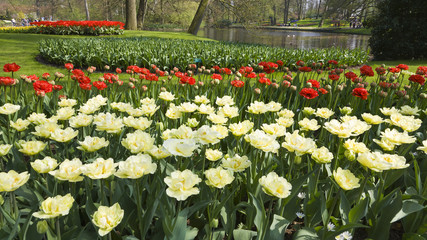 Blumenteppich im Blumenpark Keukenhof