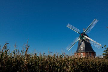 Historische Borgsumer Windmühle auf Föhr