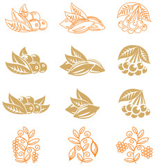 Fruits Icons