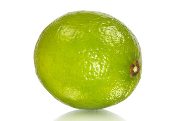 lime