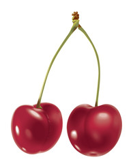 illustration of cherry