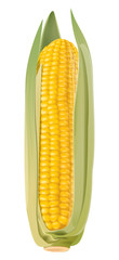 Corn