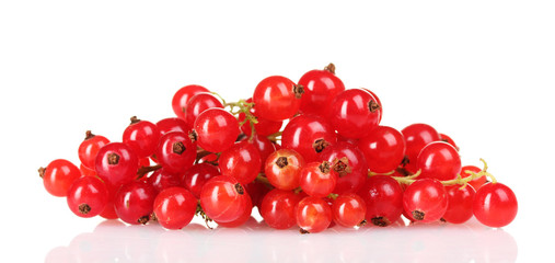 beautiful red currant isolated on white