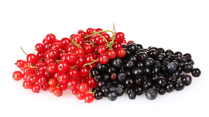 beautiful red currant and blueberry isolated on white
