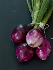 bundle of red or spanish onion tied with kitchen twine