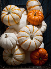 Assorted pumpkins in a rustic metal basket