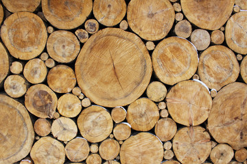 Stacked Logs, natural background image