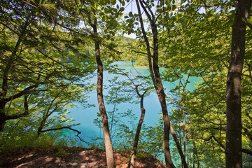 Plitvice lakes national park in Croatia, nature travel backgroun