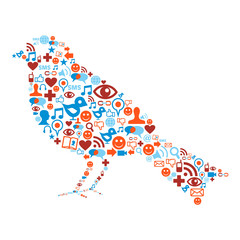 Social media icons set in bird composition