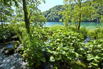 Obraz premium Plitvice lakes national park in Croatia, nature travel backgroun