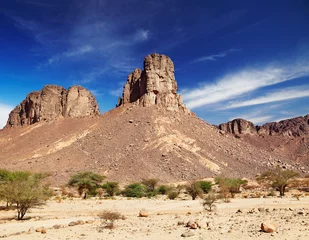Foto op Plexiglas Sahara Desert, Tassili N'Ajjer, Algeria © Dmitry Pichugin