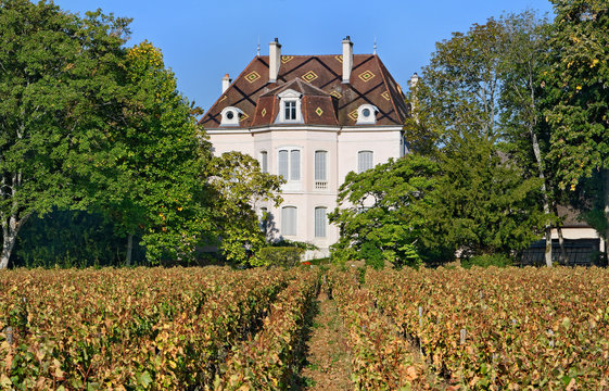 DOMAINE VITICOLE