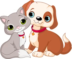 Photo sur Plexiglas Chats Chat et chien