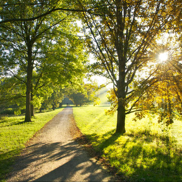 Sonniger Herbsttag