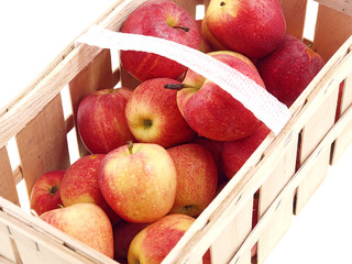 apples in a basket