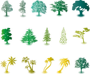 Baum, Bäume, tree, Symbole, Design, Elements