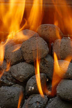 Charcoal Barbecue Briquettes