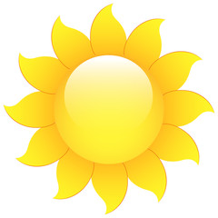 Glossy Vector Sunflower