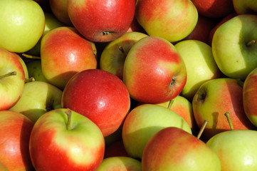Fototapeta na wymiar Frische Äpfel