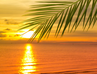 Fototapeta na wymiar Sunset under Palms