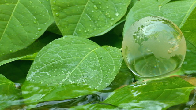 Environment conservation  concepts