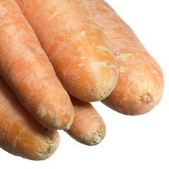 carrots in white back