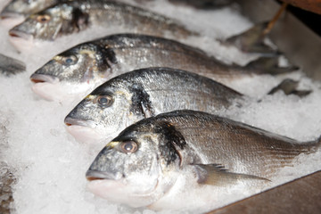 Seabass on cooled market display
