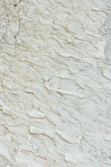 Structure of rocky rock