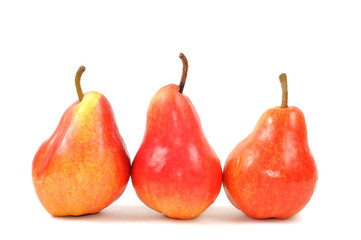 Tree red pears