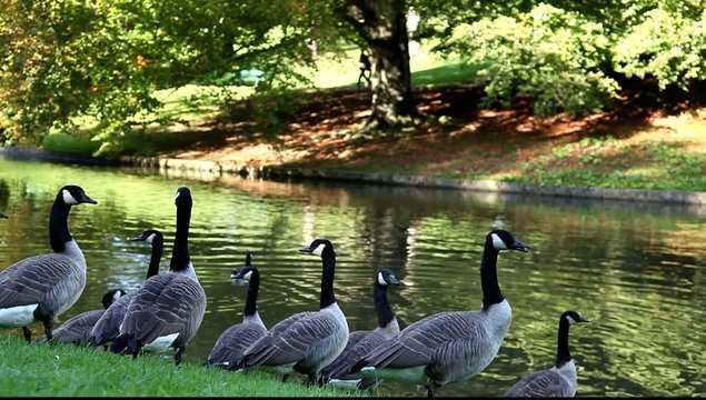 nature couleurs