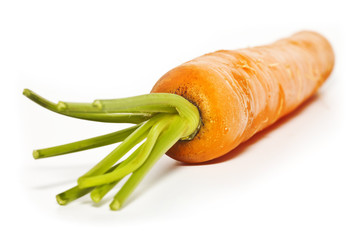 carrots with stalks