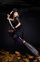 Halloween witch on a broom