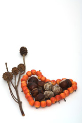 Stilleben Herbst mit Herz
