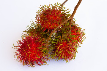 asian fruit rambutan on the plain background