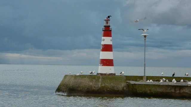 sea bay pier with ligthouse and birds