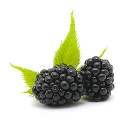 Blackberries