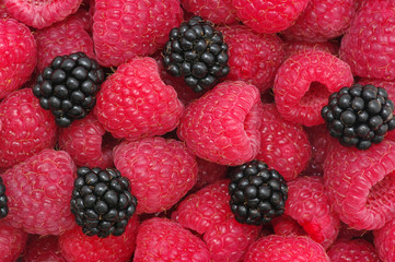 raspberries background