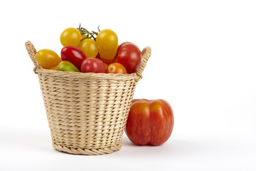 Korb frischer Bio-Tomaten / Basket of fresh organic tomatoes