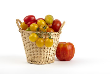 Korb frischer Bio-Tomaten / Basket of fresh organic tomatoes