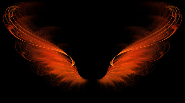Demon Wings No Background HD Png Download  1024x10241377626  PngFind